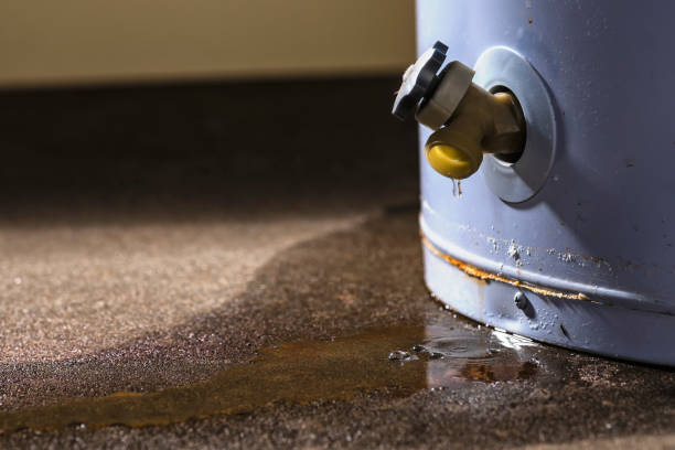 Best Flood damage cleanup  in Chalmette, LA