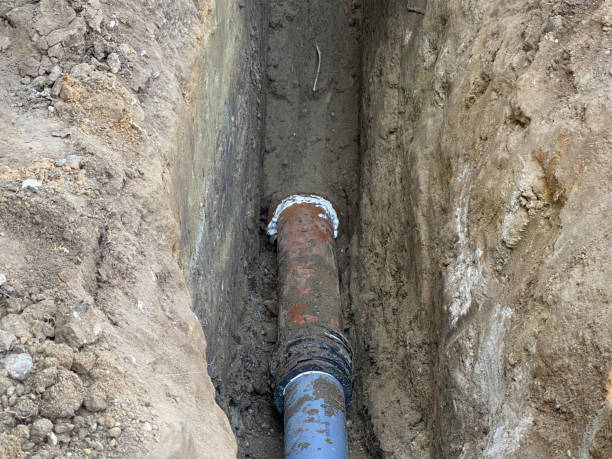 Best Professional water damage repair  in Chalmette, LA
