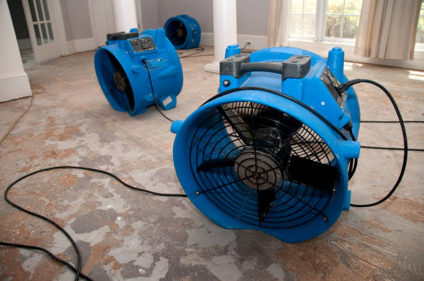 Reliable LA Water damage restoration Solutions