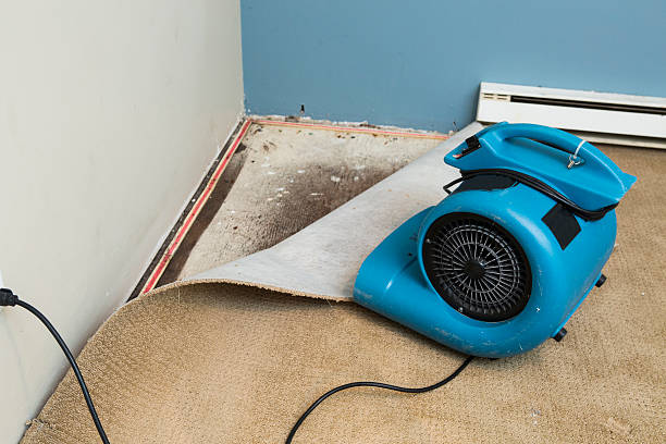 Best Ceiling water damage repair  in Chalmette, LA